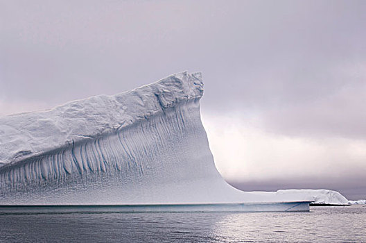 冰山,靠近,普兰诺,岛屿,雷麦瑞海峡,南极半岛,南极