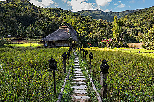 住宿,稻田,禁止,老挝