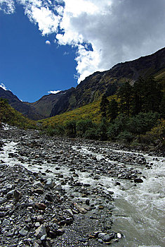 西藏波密嘎瓦龙