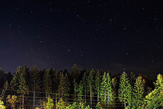 树,星,夜晚,德国