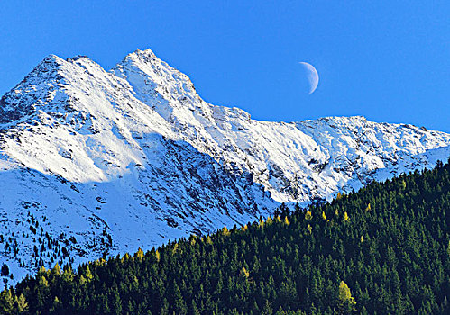 半月,上方,雪,顶峰,阿尔卑斯山,山脊,提洛尔,奥地利,欧洲