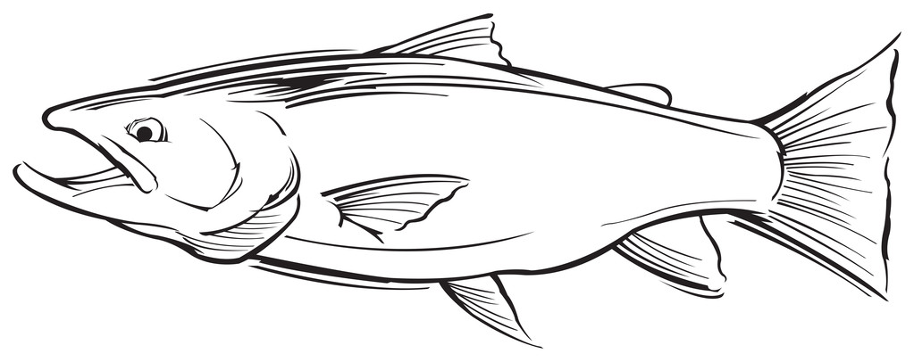 三文鱼的简笔画图片