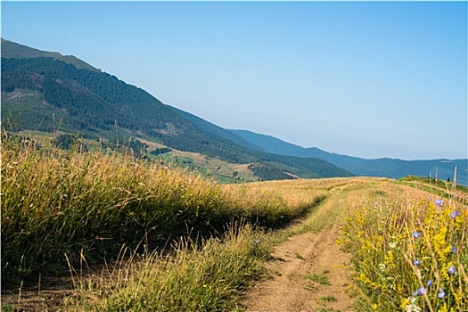 土路,风景,乌克兰,喀尔巴阡山脉地区