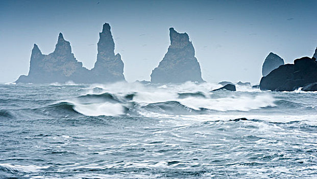 海洋,堆积,海滩,南,冰岛