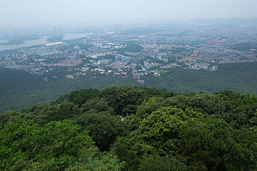 紫金山