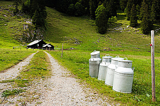 牛奶罐,小路,高山,船舱,靠近,湖,阿彭策尔,罗得斯,瑞士,欧洲