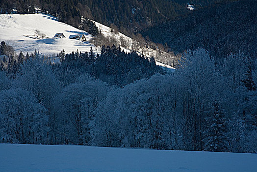 冬季风景,靠近,国家公园,施蒂里亚,奥地利