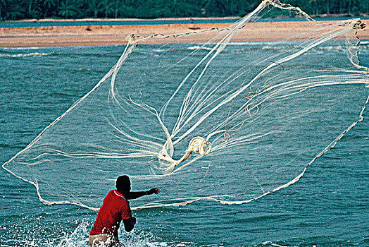 西非,贝宁,海岸,捕鱼,投掷,网
