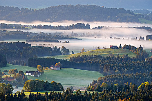 丘陵地貌,晨雾,风景,靠近,上巴伐利亚,巴伐利亚,德国,欧洲