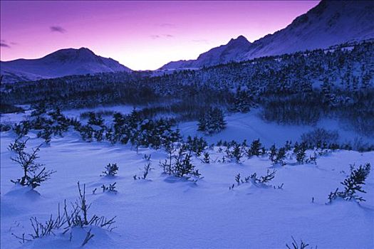 冬天,景色,日出,楚加奇山,阿拉斯加