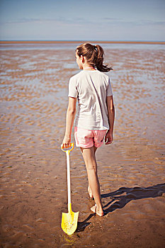 少女,拉拽,铲,湿,沙子,晴朗,夏天,海滩