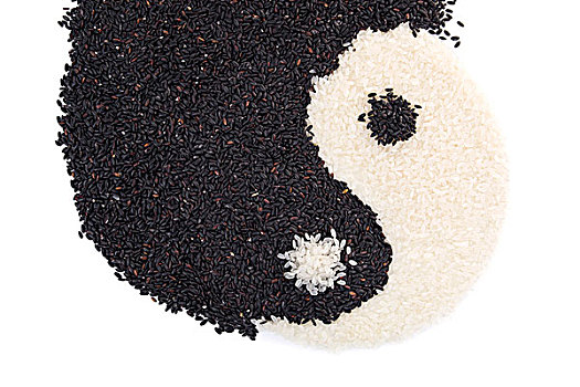 阴阳大米,中国古典传统文化,食材表现阴和阳