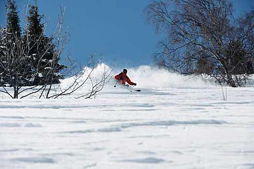 男性,滑雪,山坡,仰视,隆河阿尔卑斯山省,法国