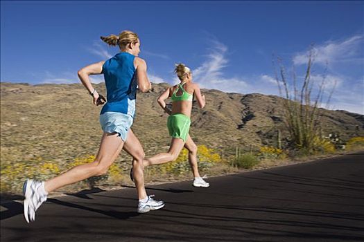 女人,跑,公路,萨瓜罗国家公园,图森,亚利桑那,美国
