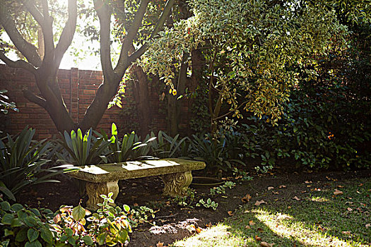 空,石头,长椅,植物,围墙,后院