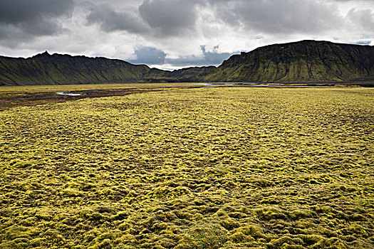 苔藓密布,山峦,风景,靠近,高地,冰岛,欧洲