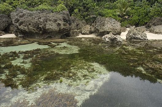 岛屿,棉兰老岛,菲律宾