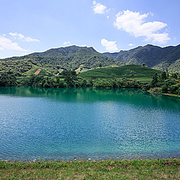 清晰,湖,围绕,山