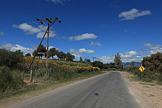 路线,阿根廷