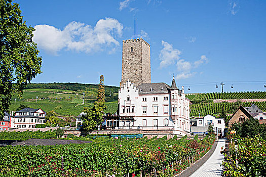 城堡,塔,12世纪,莱茵,德国