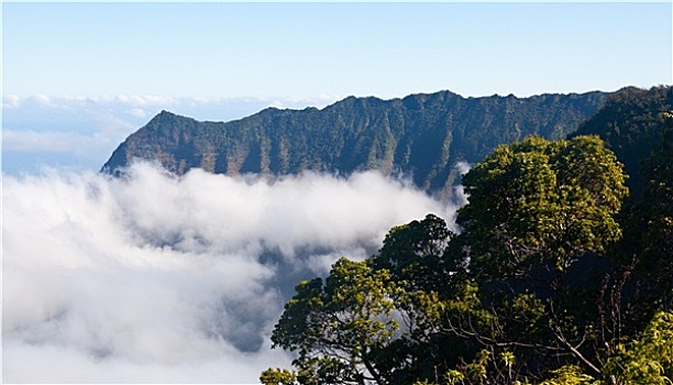 雾,卡拉拉乌谷,考艾岛