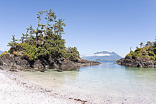 小岛,靠近,格里夸湾,温哥华岛,不列颠哥伦比亚省,加拿大