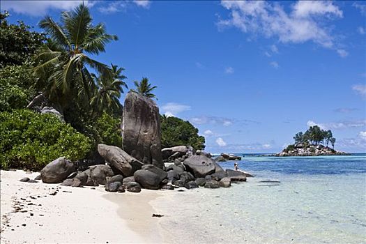 海滩,特色,花冈岩,塞锡尔群岛,马埃岛,塞舌尔,印度洋,非洲
