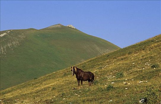 国家,大萨索山