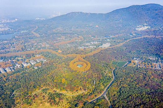 航拍南京钟山风景名胜区美龄宫法国梧桐树茂密