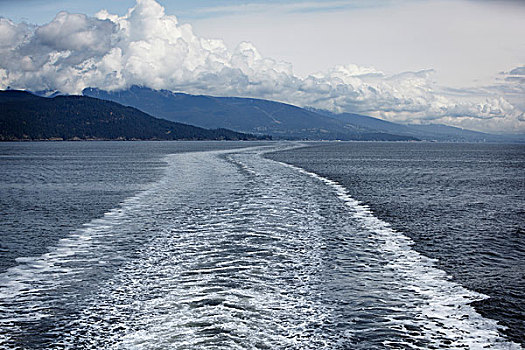 渡轮,尾流,海洋,岛屿,温哥华,不列颠哥伦比亚省,加拿大