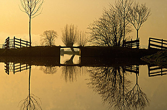 树,大门,反射,水中,日落,沃伦丹,荷兰北部,荷兰