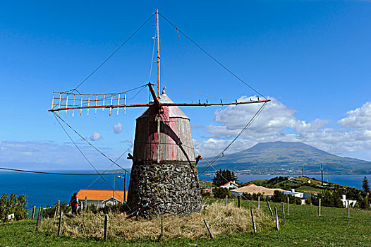 风车,蒙特卡罗,风景,岛屿,法亚尔,亚速尔群岛,葡萄牙