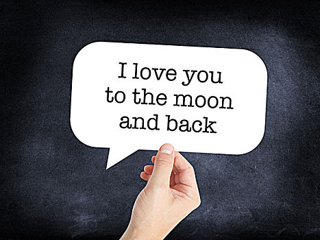 我爱你,月亮,背影