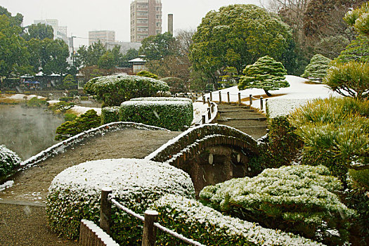 雪,秋天,花园,熊本,日本