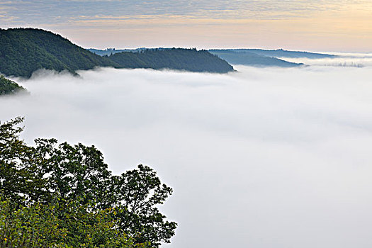 晨雾,莱茵兰普法尔茨州,德国