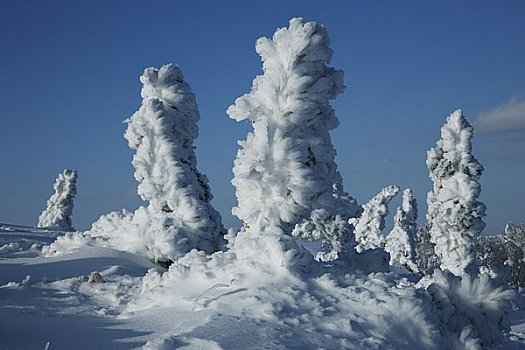 霜,山