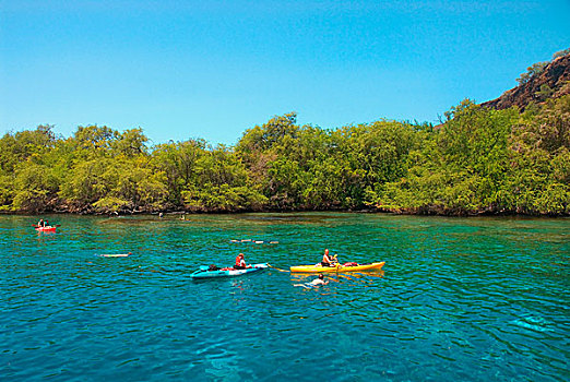 夏威夷,夏威夷大岛,湾,船长,烹饪,纪念建筑,漂流