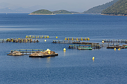 捕鱼业,岛屿,杜布罗夫斯克-内雷特瓦县,达尔马提亚,克罗地亚,欧洲