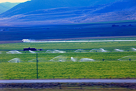 美国西部荒漠区农业的浇灌设备