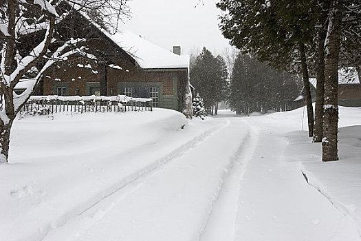 郊区住宅,暴风雪