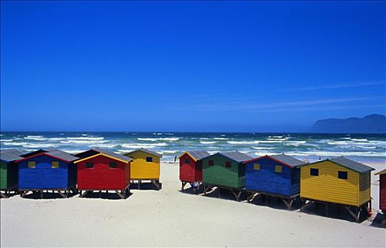 南非,开普敦,彩色,小屋,海滩