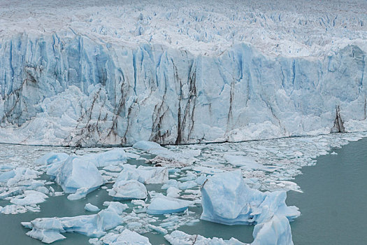冰河,国家公园,巴塔哥尼亚,阿根廷
