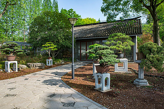 上海植物园盆景园