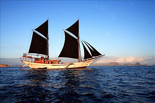 印度尼西亚,群岛,岛屿,游轮,船,美好,传统,帆船