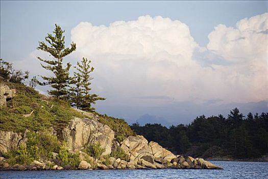 岩石,岛屿,岸边,英里,湾,乔治亚湾,国家公园,安大略省,加拿大