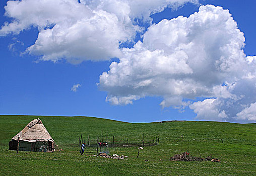新疆伊犁-喀拉峻大草原