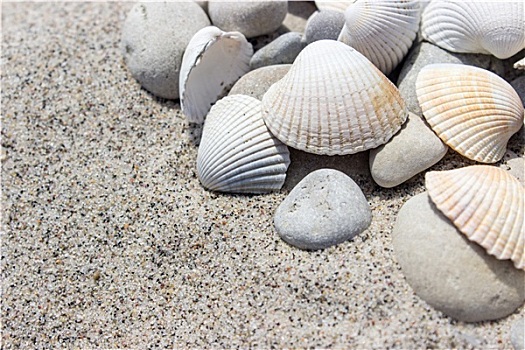 壳,鹅卵石,沙子
