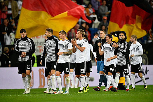 球员,德国,国家,团队,感谢,观众,竞技场,巴登符腾堡,欧洲
