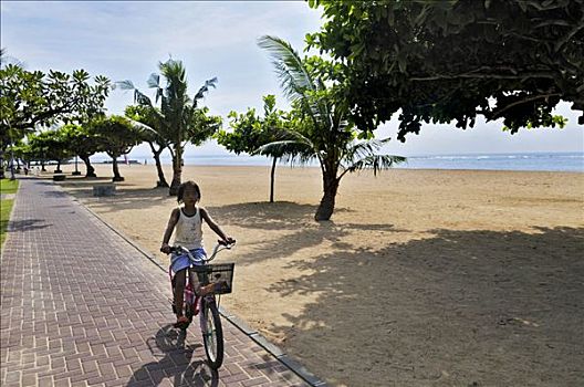 海滩,树,骑自行车,靠近,沙努尔,登巴萨,巴厘岛,印度尼西亚,东南亚
