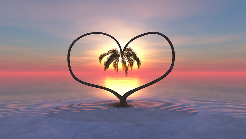 心形,两个,棕榈树,日落,热带海岛